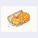 Watercolor illustration of an orange cartoon cat sleeping in an empty carton of eggs.