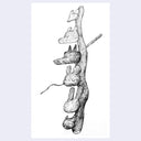 Black line art illustration of a stick of wood with animal heads coming off of it, also made from wood.