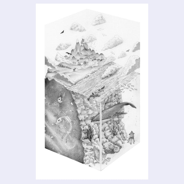 Illustration of a whale with underwater and aerial views on a white background