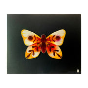 Painting on cut out paper of a butterfly with burgundy, yellow and deep orange coloring. Its wings have abstract leaf shape patterns with a circle in the center of each top wing. Butterfly is mounted on black paper.