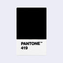 A Pantone color card showing the color black, with the Pantone logo and the number 419 printed on the white lower section, centered on a light gray background.