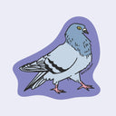A stylized illustrated pigeon centered on a lavender-purple abstract shape, with a pale blue-gray body, pink legs, black linework, and a small yellow eye. 