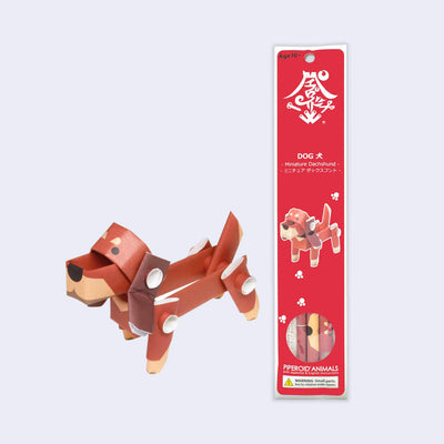Paper sculpture of a brown dachshund, made out of folded paper pipes. It stands next to its red product packaging.
