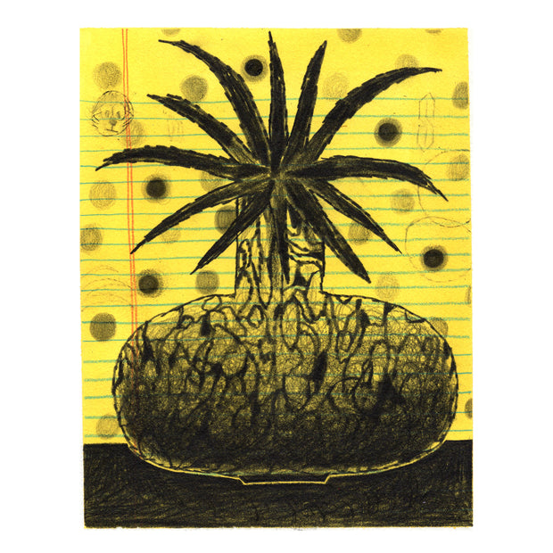 Black mixed media drawing of a large round bodied planter with a spiked, pointy plant. Background resembles a sheet of lined yellow college ruled paper with circular doodles on it.