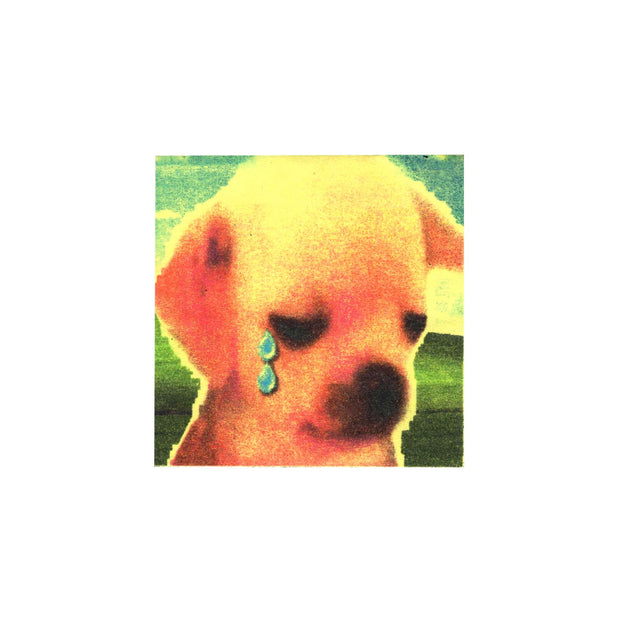 A small print, featuring a small puppy looking down sadly. Cartoonish tears fall from its eyes. Background is a very low res version of the WIndows XP field wallpaper.