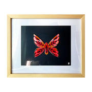 Painting on cut out paper of a butterfly with red, orange and black patterned wings with pointed edges. Butterfly has gold specks on it and is mounted on black paper. Piece is in a light grain wooden frame with a white mat.