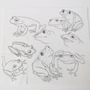 Rakugaki 8 (2026) - Cassia Lupo - "Frog Collage 01"