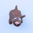 Doggo Show 2025 - Phil Davis - "Bess"