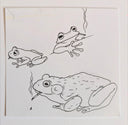 Three frogs smoking cigarettes on a white background