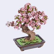 3D model puzzle made out of MDF wood of a sakura bonsai.
