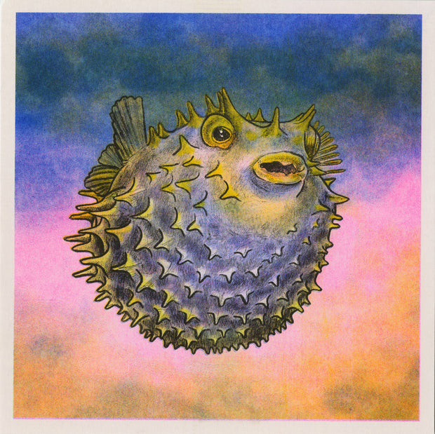 Risograph print of a realistically rendered puffer fish. It floats against a sunset colored background.