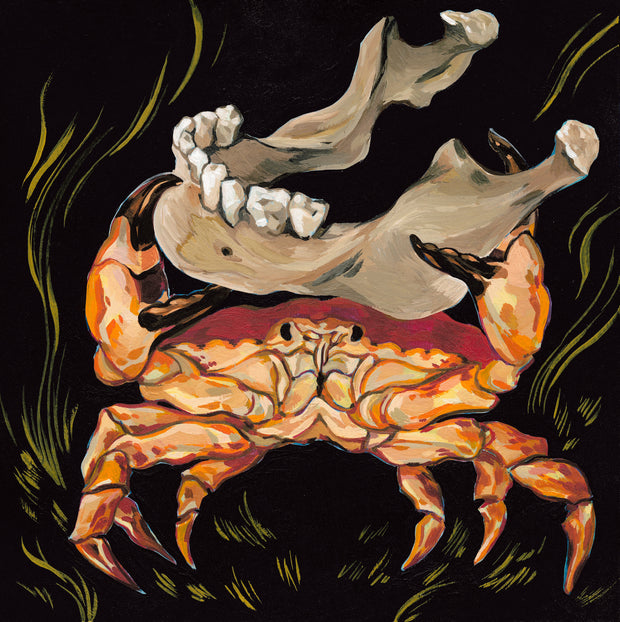 Painting on solid black background of a realistically rendered crab, holding the lower half of an animal skull over its head. Subtle green lines are in the background.