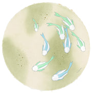 Paper circle with deckled edges and a soft olive green and cream colored watercolor background. Blue and green fish with white bunny heads swim calmly.
