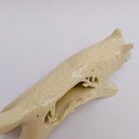 A cream colored ceramic wolf, with an opening in its body that holds gold charms, hanging from wire. Surrounded the opening are ceramic vine shapes.