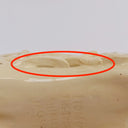 Close-up of a cream-colored ceramic figurine with a red oval annotation highlighting a sculpted detail on its side.