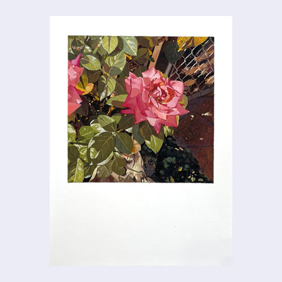 Painting of a bright pink rose, with bits of a sidewalk visible behind it and a wire gate.