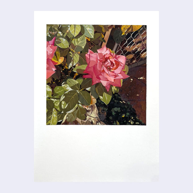 Painting of a bright pink rose, with bits of a sidewalk visible behind it and a wire gate.
