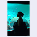 Person wearing a face mask, cast mostly in shadown, looking at an aquarium display that glows bright blue.