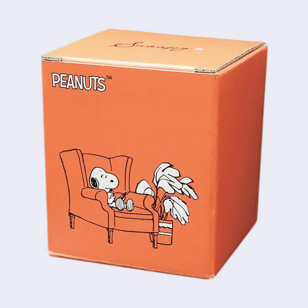 Orange box with Snoopy illustration and 'Peanuts' branding.