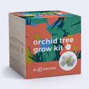 A square product box for the 'orchid tree grow kit' by SPRIGBOX, featuring a colorful tropical floral pattern on the front and side panels, with a light wood-grain textured back panel and a small white orchid flower illustration.