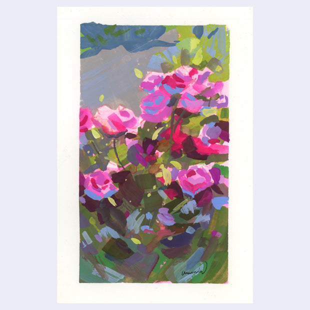 Plein air painting of a blooming pink rose plant.