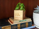 A small basil plant in a wooden sprigbox planter, displayed on top of vintage books next to a white planter pot against a dark wood background.