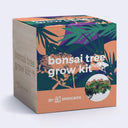 A cube-shaped product box for a bonsai tree grow kit by Sprigbox, featuring a tropical leaf pattern in teal, orange, and purple with white text and a small circular plant photo on the front, shown on a light gray background.