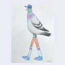 Illustration of a pigeon with human legs, wearing a blue cap, gray shirt, and blue shoes on a white background.