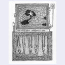 Illustration of a box with two scenes: one with a person in water and another with people in a forest.