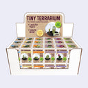 Display for 36 mini cacti terrariums, of 6 different varieties.