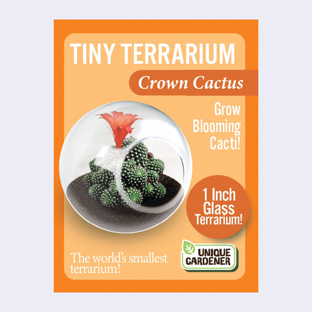 Tiny Terrarium Cactus Growing Kit (3 Varieties)
