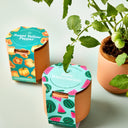 Two seedling pots with decorative labels next to a potted plant on a light background