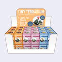 Tiny Terrarium Cactus Growing Kit (3 Varieties)