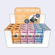 Tiny Terrarium Cactus Growing Kit (3 Varieties)