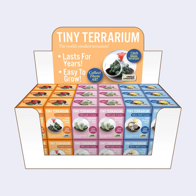 Tiny Terrarium Cactus Growing Kit (3 Varieties)