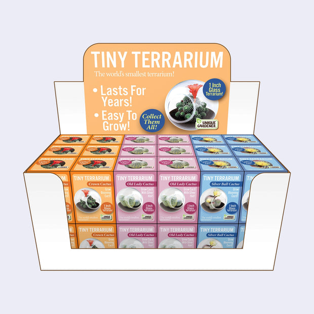 Tiny Terrarium Cactus Growing Kit (3 Varieties)