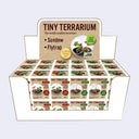 Display for 36 small boxed glass terrariums with either seeds to grow a sundew plant or a flytrap plant.