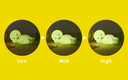 Glowing green Smiski light with three light intensity levels on a yellow background