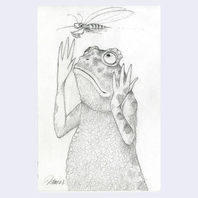 Graphite illustration of a frog, standing with its arms up stretched towards a mosquito flying by and reading a book.