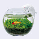 A clear glass fishbowl filled with green aquatic plants and a small orange-and-gold fish, with a white cat figurine perched on the rim against a light gray background.