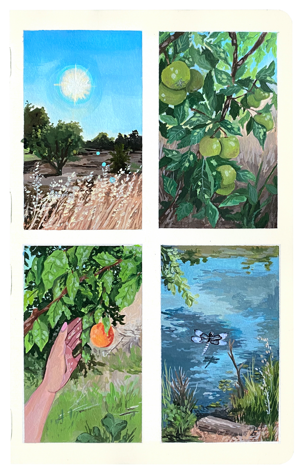 4 thumbnail paintings on a page. 1: A sun glowing over wheat. 2: An apple tree. 3: A hand reaching towards a nectarine on a tree. 4: A dragon fly flying over a pond.