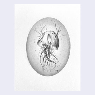 Softly rendered graphite drawing of a jellyfish with large oval eyes and branches as antlers.