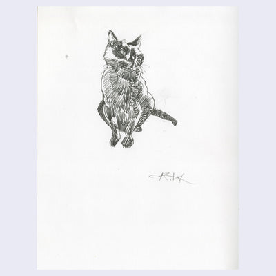 Rakugaki 2 - Kent Williams - #108 - Black Cat