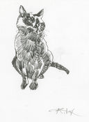 Rakugaki 2 - Kent Williams - #108 - Black Cat