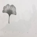 Rakugaki 2 - Rob Sato - #165 - Gingko Leaf