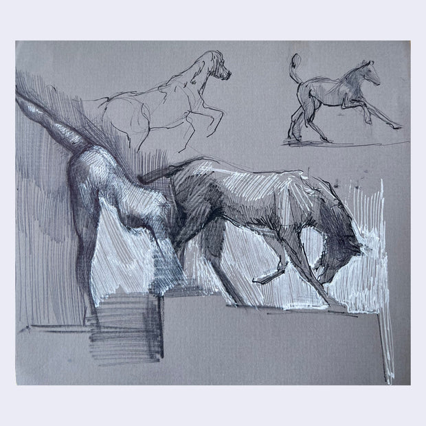 Fine art sketches of a horse, in 3 different poses on gray paper.