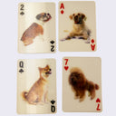 3D Dog Playing Cards