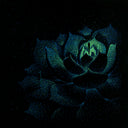 Brian Luong - Renewal