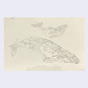 Kozyndan - Going Home - #58 - "California Gray Whales"