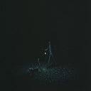 Brian Luong - Travel by Lamplight - “Cat and Lamplight"